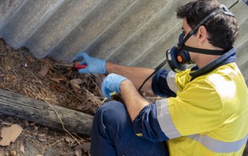asbestos testing in Brisbane
